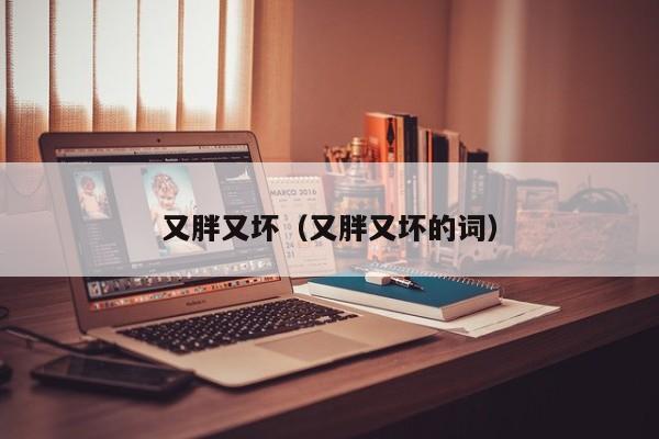 又胖又坏（又胖又坏的词）