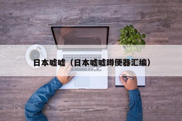 日本嘘嘘（日本嘘嘘蹲便器汇编）