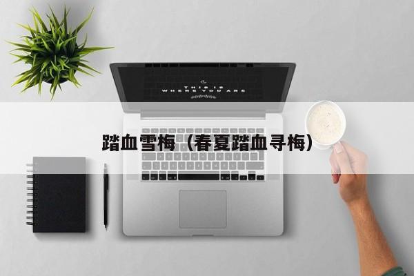 踏血雪梅（春夏踏血寻梅）
