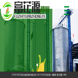 黑龙江省富芷源种业有限公司|合玉188|黑龙江玉米种子|黑龙江大田种子|黑龙江玉米种子供应商