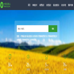 廿里堡鼎火网络信息咨询