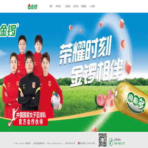 金锣文瑞食品有限公司