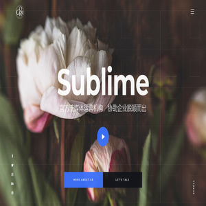 Sublime || 品牌 || 流媒体机构