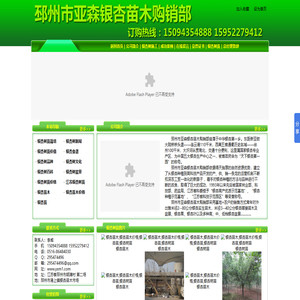 银杏苗木_银杏苗木价格_银杏苗_银杏树苗_邳州市亚森银杏苗木购销部_http://www.yxm1.com