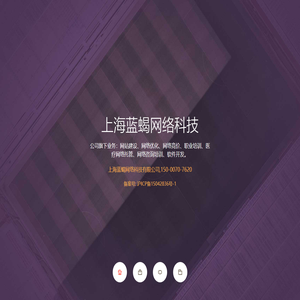 上海蓝蝎网络科技有限公司_专注医疗网络托管,微信运营托管，团队打造！