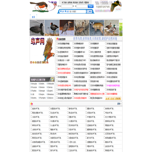 鸟声网 鸟叫声MP3 最新鸟声音下载网站