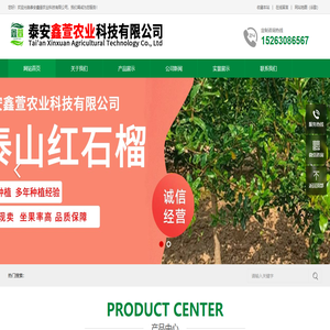 抗寒大樱桃苗 - 泰安鑫萱农业科技有限公司