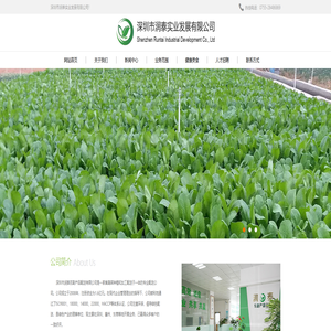 深圳市润泰实业发展有限公司