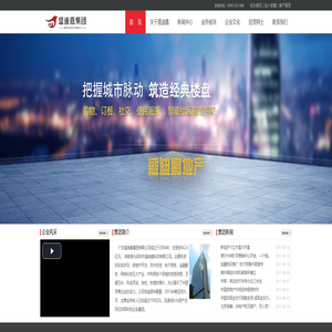 广东盛迪嘉电子商务股份有限公司