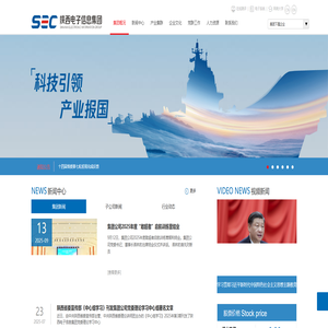 陕西电子信息集团有限公司