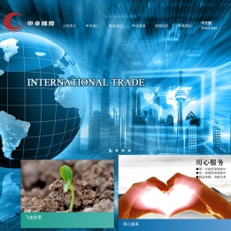 上海申卓国际贸易有限公司