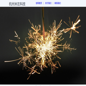 杭州米左科技有限公司